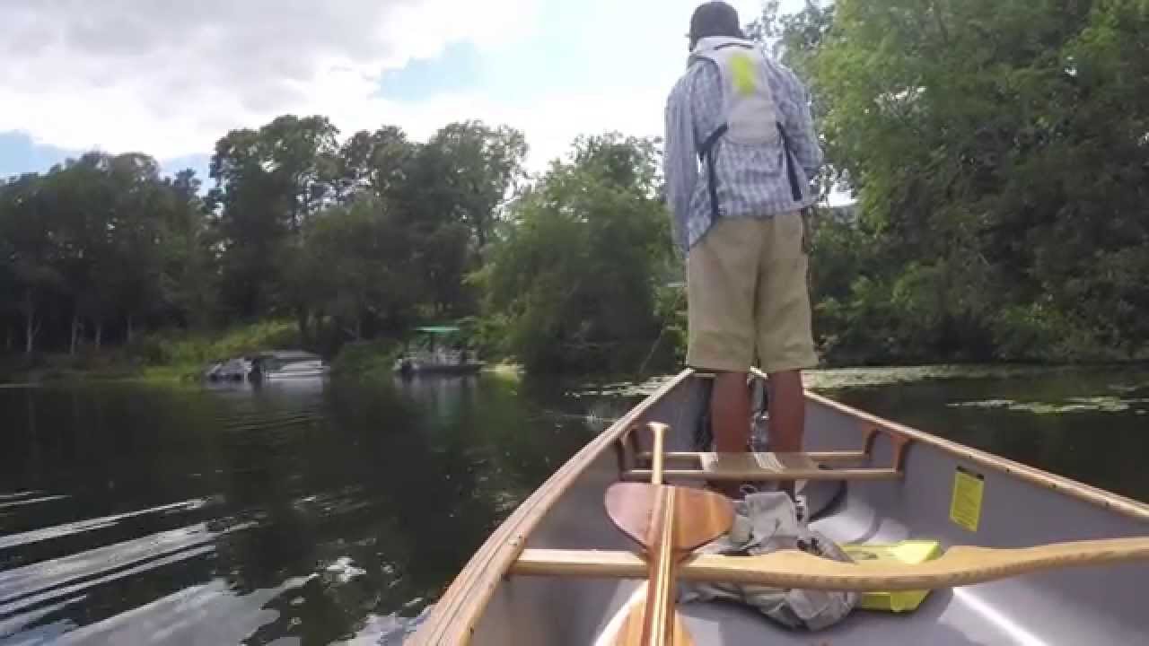 Wędkarstwo muchowe – wędkowanie z Canoe