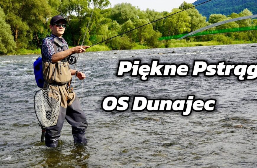 OS Dunajec – piękne pstrągi na muchę